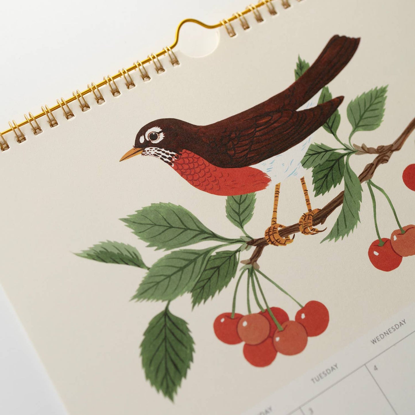 2025 WALL CALENDAR / SONG BIRDS